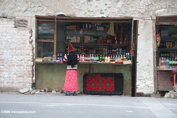 Kyrgyz oder Tajik Mädchen an einem Straßenrandstall nahe einem PaßAbfertigungsschalter auf der Karakoram Landstraße