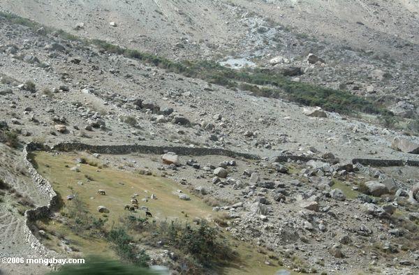 Felsenwand in Tajik China