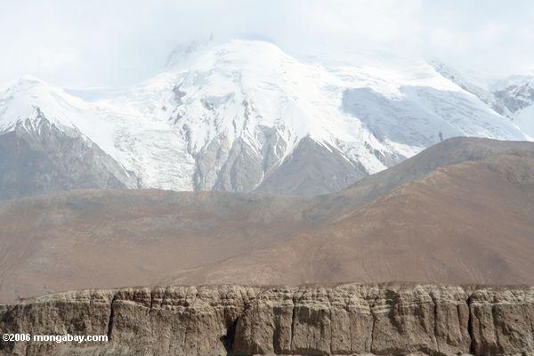 Schnee-mit einer Kappe bedeckte Spitzen in den Pamir Bergen