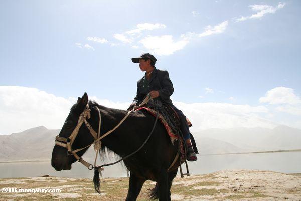 Уйгурский мальчик верхом на каракуль озеро