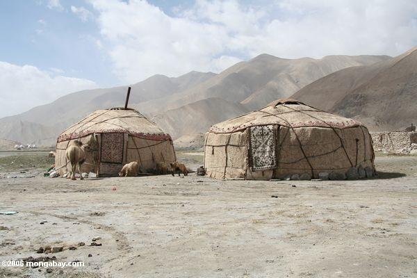 Traditionelle yurts nähern sich See Karakul