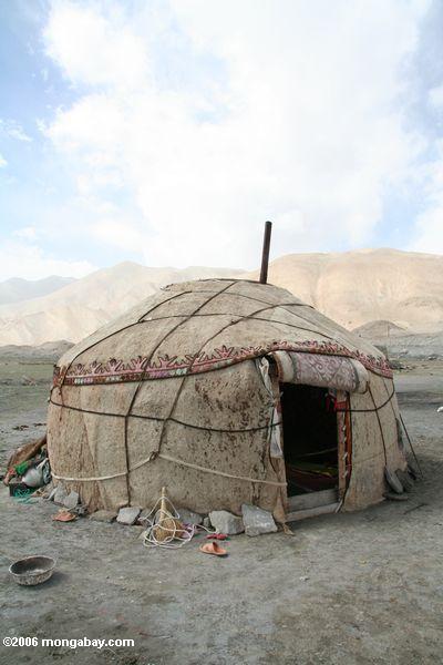 Traditionelles Tierhaut yurt