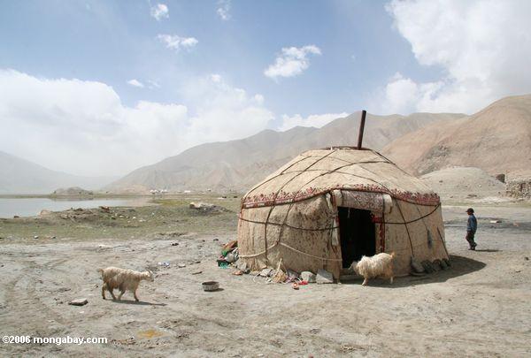 See Karakol yurt