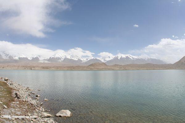 新疆でカラクール羊湖