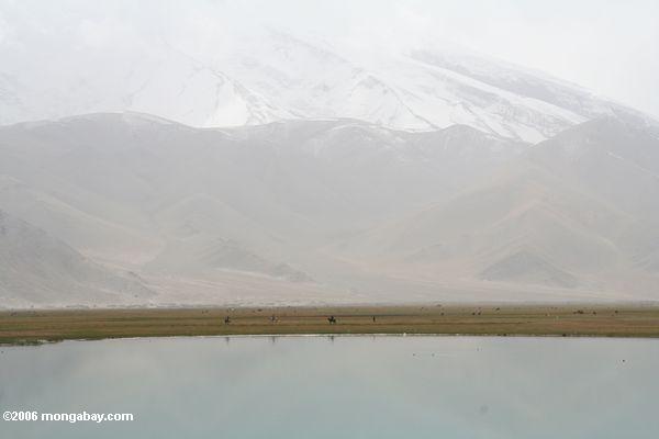 Uighurreiter auf einer Ebene am Fuß Kongur montain