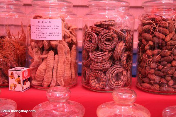 Getrocknete aufgerollte Schlangen in einem chinesischen Markt