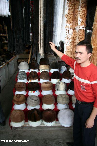 Exotische Tierpelze für Verkauf in einem chinesischen Markt