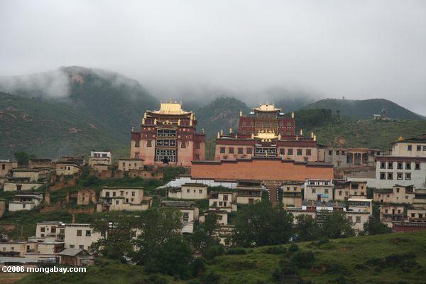 sumtsanlang monsatery, крупнейшего тибетского буддийского монастыря на юге Китая