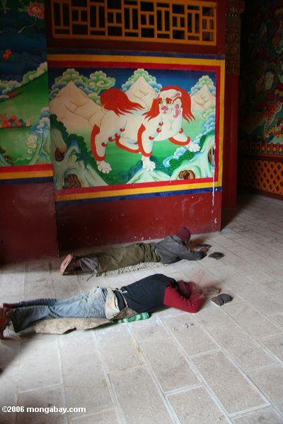 Buddhistische Pilgrims, die am Sumtsanlang monsatery tibetanisches