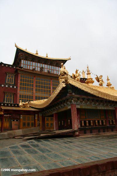 Goldene dekorative Dekorationen am Sumtsanlang monsatery