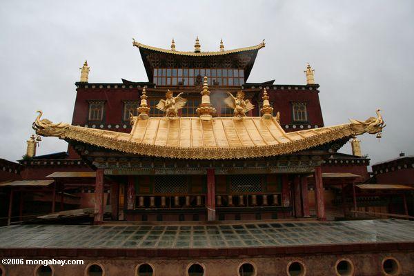 золотой крышей на sumtsanlang monsatery