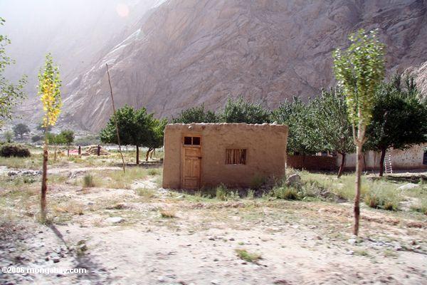 Таджикский или Уйгурский (уйгурский) дома