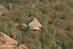 Grass hut overlooking Taganga