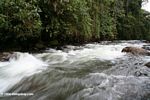 Fast-flowing Otun river