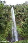 Waterfall at Santuario OtÃƒÆ’Ã†â€™Ãƒâ€šÃ‚Âºn Quimbaya [co03-9705]