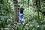 Canopy ecotourism in Periera