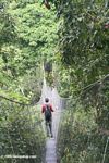 Rainforest canopy walkway in Colombia