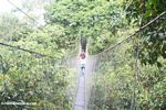 Rain forest canopy walkway