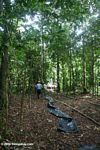 Amazon rainforest camp site - step 1