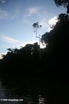 Rio Amacayacu at Sunset