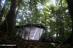 Amazon rainforest campsite