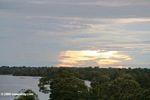 Sundown in the Amazon rainforest