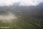 Airplane view of slash-and-burn forest clearing in the Amazon rainforest of Colombia