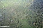 Aerial view of forest and small scale agricultural clearing in the Colombian Amazon