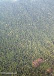 Aerial view of likely indigenous forest clearing in the Amazon rainforest of Colombia
