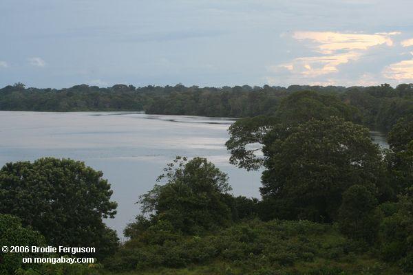 Amazonas Fluß nahe Puerto Nariño