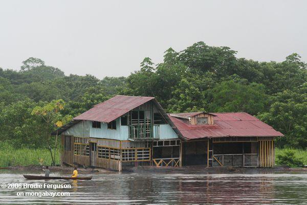 Ausgesetztes sich hin- und herbewegendes Haus im Amazonas