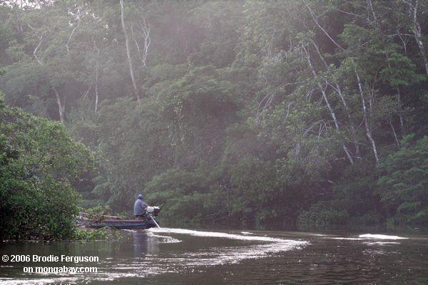 Motorisiertes Kanu, das ein Steuerbares des Amazonas Flusses Leticia-Amazonas