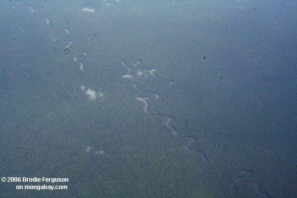 Luftaufnahme von einem Wicklung Fluß im kolumbianischen Amazonas