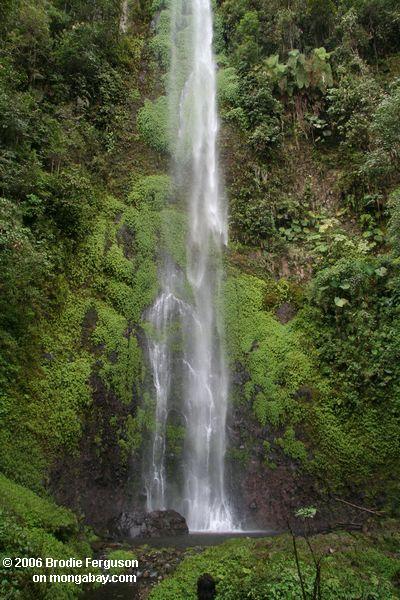Водопад на Santuario otún quimbaya