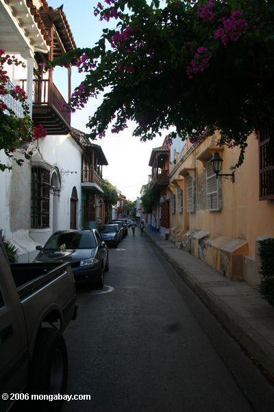 Bouganvilla-gezeichnete Straße im alten Teil von Cartagena