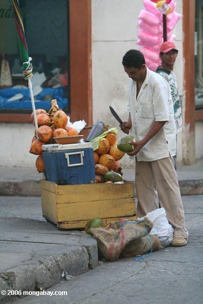 Das Vorbereiten einer Kokosnuß in altem Cartagena Cartagena