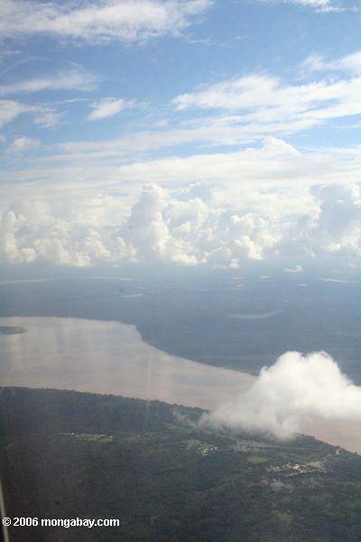 Luftaufnahme des Amazonas Flusses