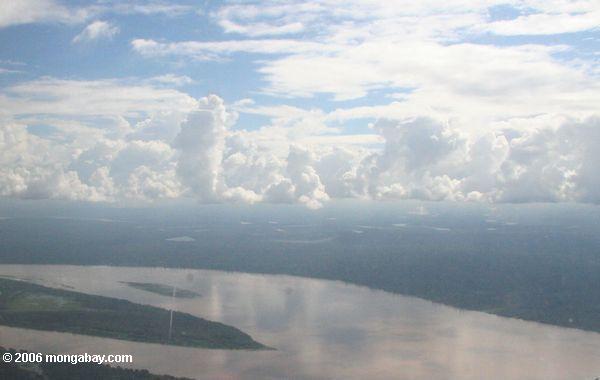 Luftaufnahme des Amazonas Flusses