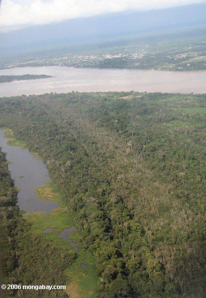 Luftaufnahme von einem Oxbow See weg vom Amazonas Fluß