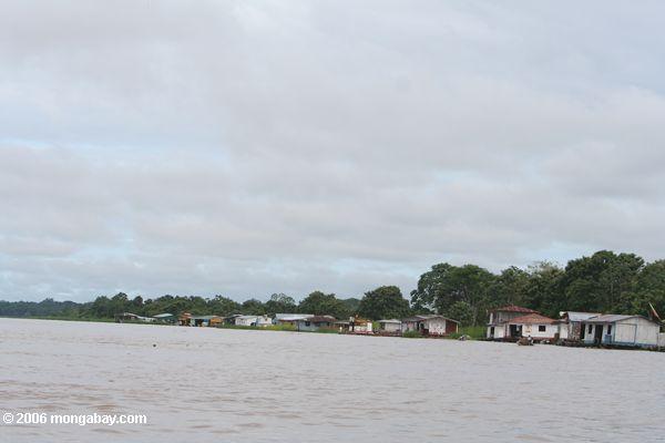 Randgebiet von Leticia, auf dem Amazonas Fluß
