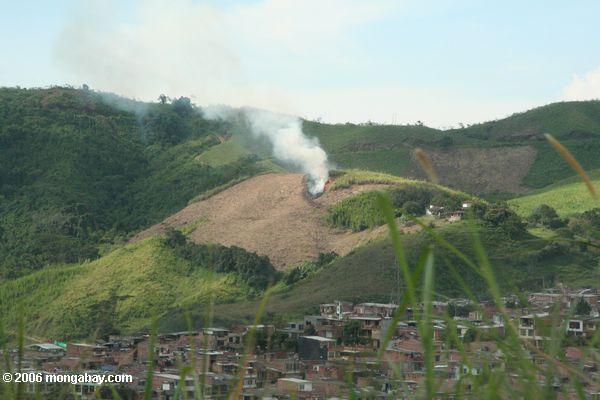 Landwirtschaftliches Feuer nahe Pereira