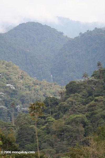 водопадов и горных лесов Ла Пастора в Парке ucumarí