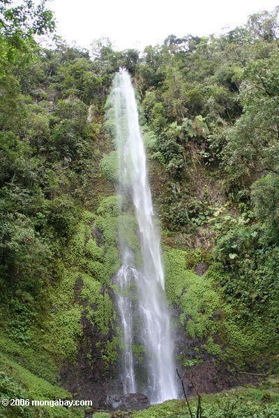 Водопад на Santuario otún quimbaya