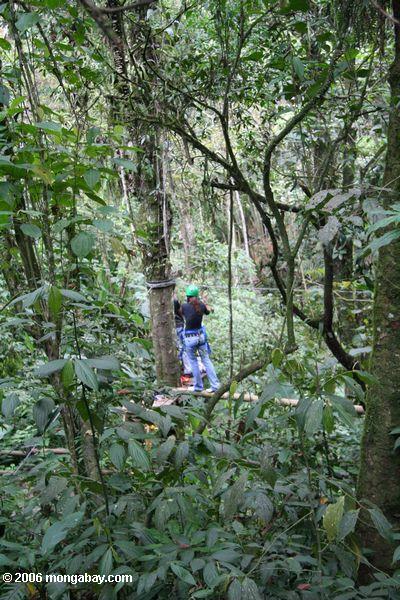 Rainforest überdachung „Abenteuer“