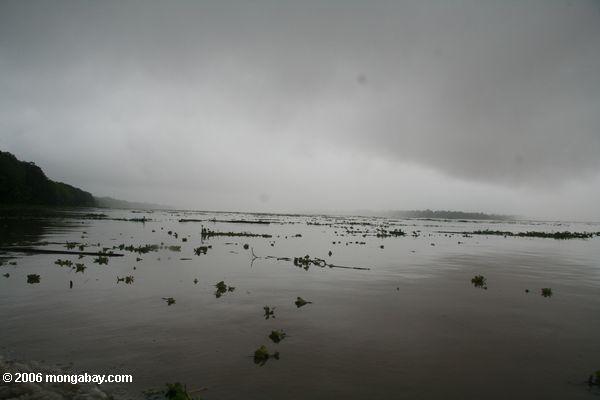 Река Амазонка в наводнение