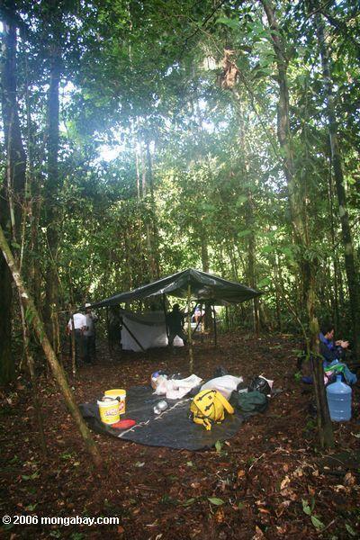 アマゾンの熱帯雨林キャンプサイト、高い防水シートを設定