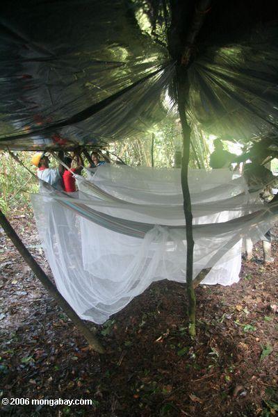 Amazonのキャンプ場でハンモックと蚊帳
