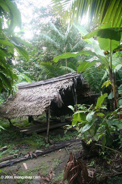 Hütte in einem Amerindian Kommunalgarten