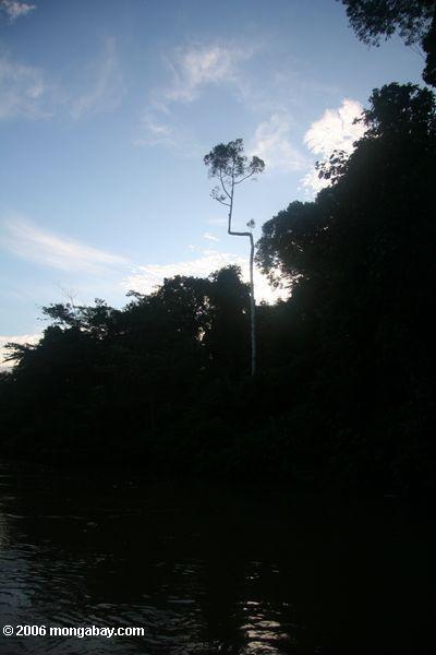 Rio Amacayacu am Sonnenuntergang
