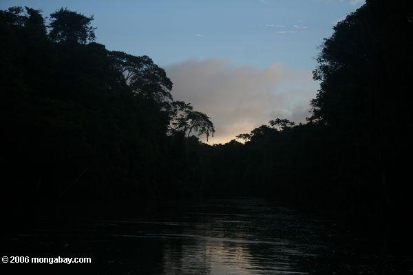 Rio Amacayacu, ein Steuerbares des Amazonas Flusses, am Sonnenuntergang